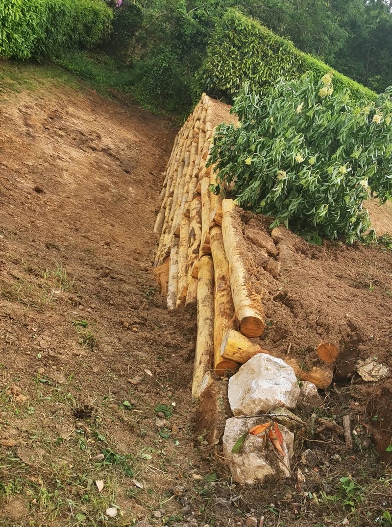B�schung Befestigung mit Kastanie Pfosten